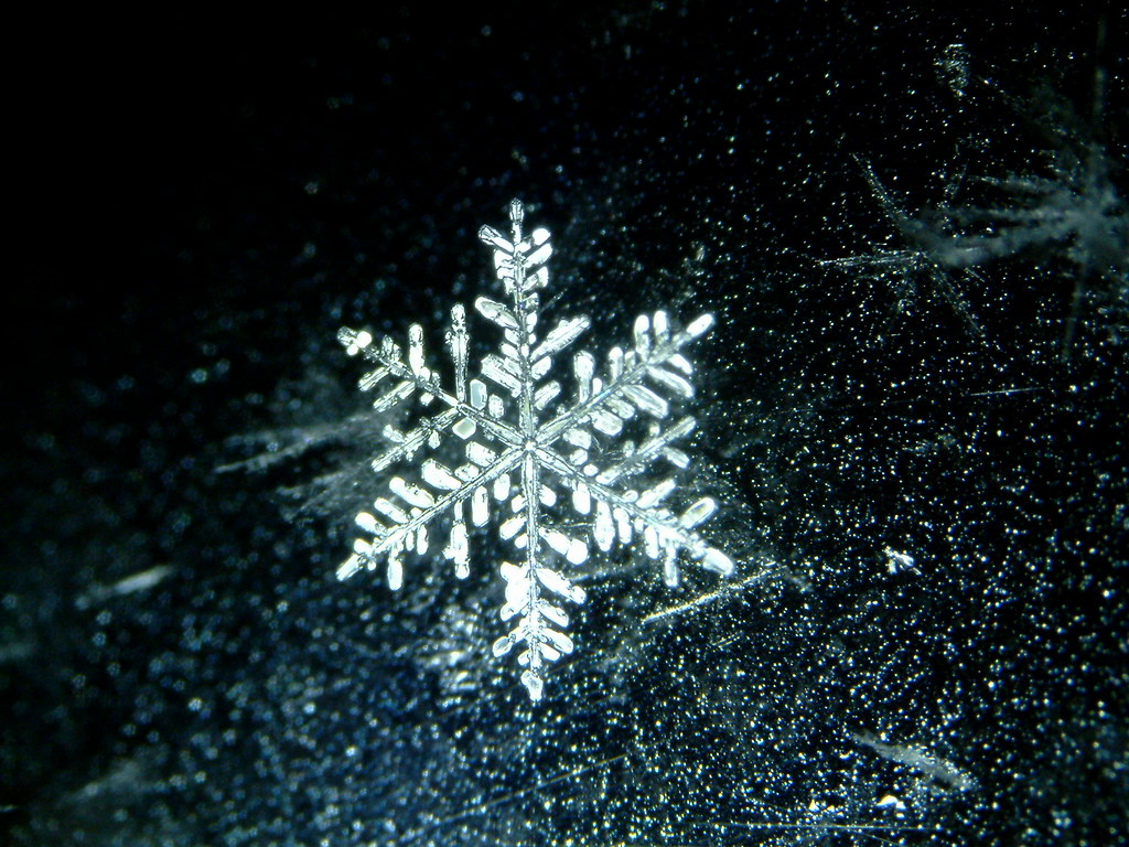 基于 Snowflake 的分布式 ID 生成与高并发数据一致性